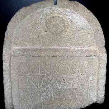 Click para ampliar. Pulsa en el nombre para ver la ficha. Hasta Regia MuseoJerez_Cultronia Prima